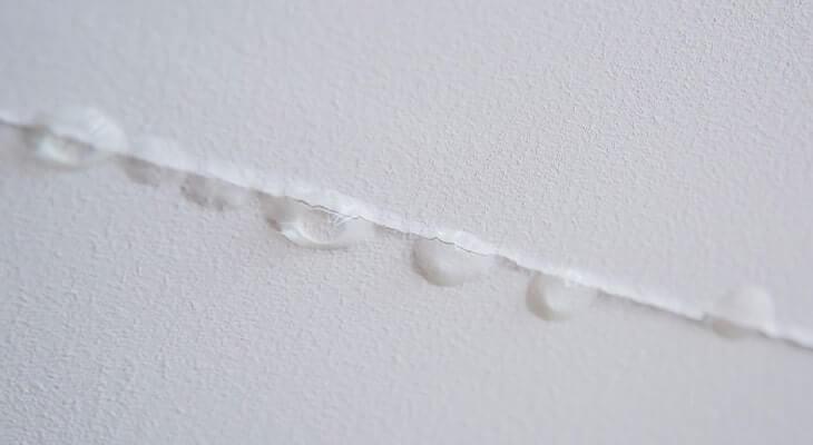 5 Ways Early Water Leak Detection Saves You Money