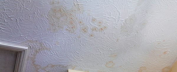 Water stains on a ceiling