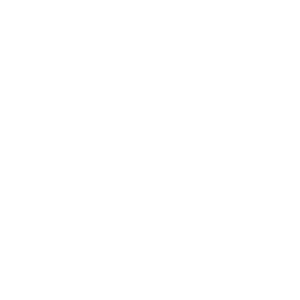 customer satisfaction icon