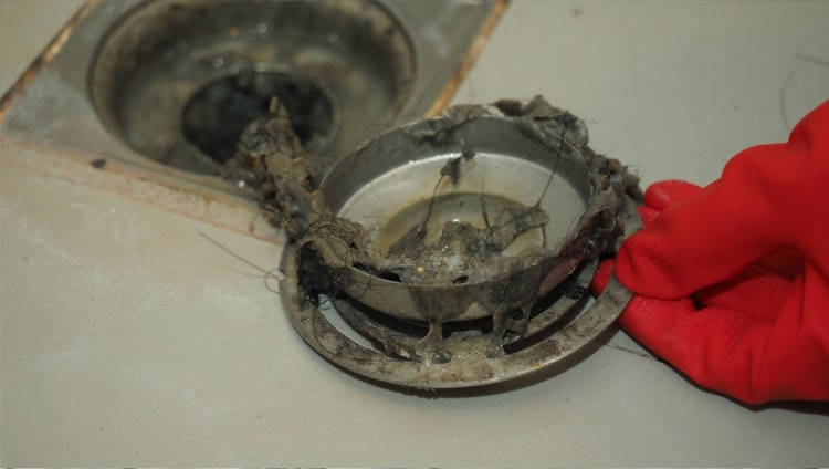 hair clogging drain