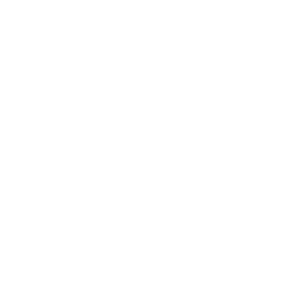 instant quote icon